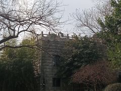 -放鹰台遗址