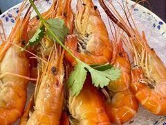 冰镇沼虾-阿甘龙虾·重庆麻麻鱼(中豪店)