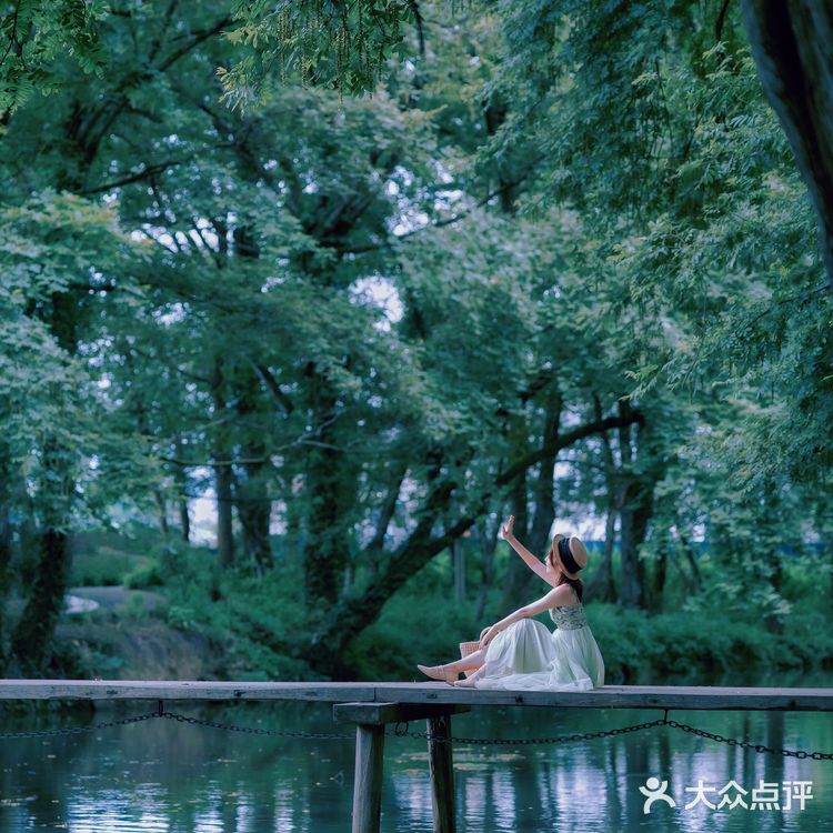 『黄山』闯入绿野仙踪🍃奇幻森林，赴一场仙境之约