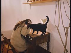 -春风十里咖啡馆
