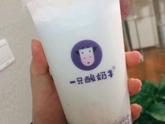 -一只酸奶牛(八一路店)