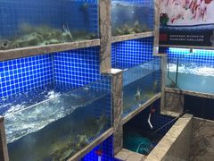 水产区-香蟹园金湖龙虾(金磐路旗舰店)