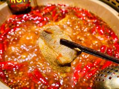 -小龙坎老火锅(北京三里屯店)