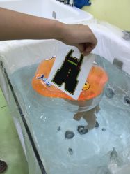 -鱼乐贝贝婴幼儿水育馆(达文路店)