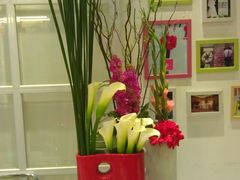-FEI FEI FLOWER鲜花店·气球派对·宝宝宴布置(虹口德必运动Loft店)