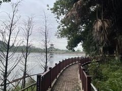 -水濂山森林公园