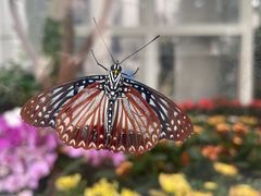 -上海自然博物馆
