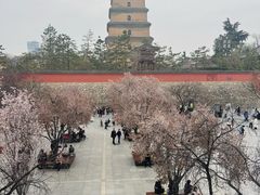 -大慈恩寺(大雁塔)