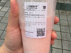 -一只酸奶牛(八一路店)