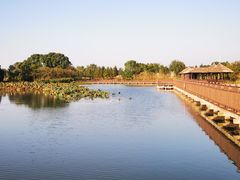 -梁鸿国家湿地公园