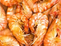 -北塘海鲜·天津菜(大光明桥旗舰店)