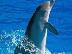 -肯德基(槐苑店)