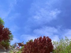 -大兴滨河森林公园