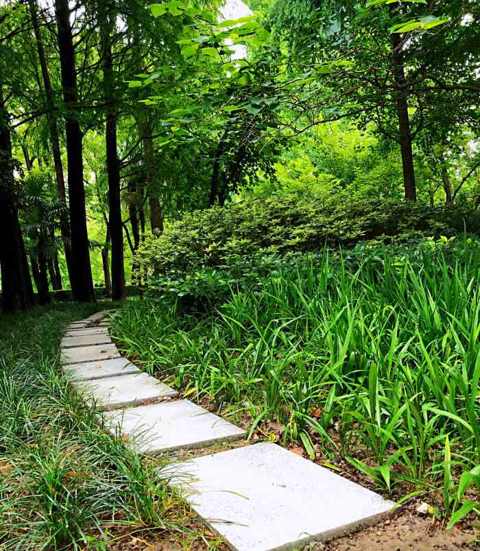 延天绿地-"绿地在公交车站后面 感觉环境么有点杂 而.