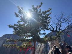 -华山风景名胜区-苍龙岭