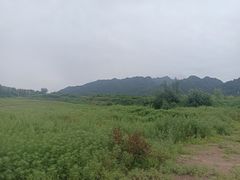-沣峪口