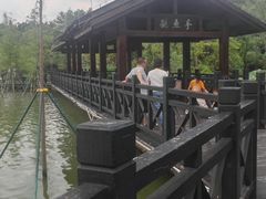 -海珠湖公园