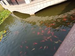-大连植物园