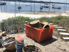 -北海金海湾红树林生态旅游区