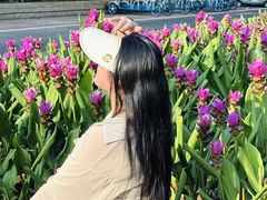 -东南花都花博园