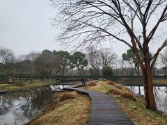 -西溪国家湿地公园
