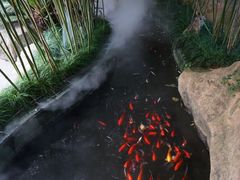 -竹吟山房