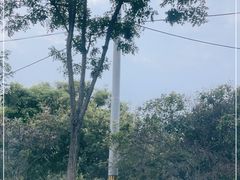 -天元公园