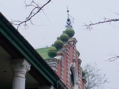 -北京动物园-畅观楼