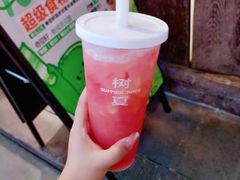 -树夏(锦里店)