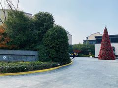 -上海崇明金茂凯悦酒店