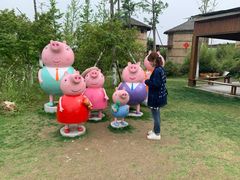 -杭州湾海上花田景区