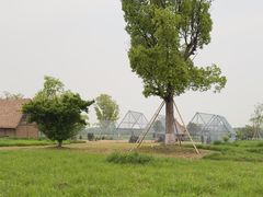 -良渚古城遗址公园