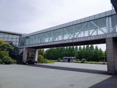 -宁波杭州湾新区汽车客运站