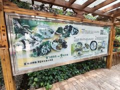 -山大王菌莊