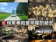 -秦始皇帝陵博物院-丽山园