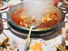 -蜀滋香鲜鱼美蛙火锅(339店)