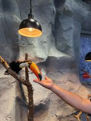 -Zoolung Zoolung动物主题公园(海信广场店)