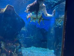 -抱抱地球咖啡馆(国家海洋博物馆店)