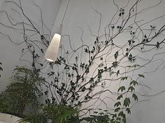 -大树餐厅(红旗街万达店)