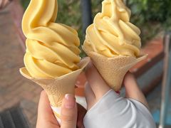 -广州长隆欢乐世界