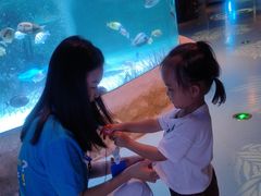 -沈阳海洋探索中心