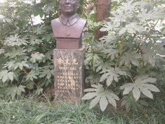 -浙江大学医学院附属第二医院(解放路院区)