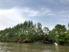 -溱湖国家湿地公园