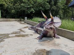 -洪湖悦兮半岛国际温泉度假村
