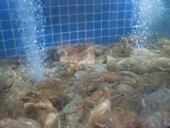-福禧荟·海鲜自助