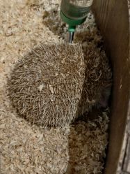 -Zoolung Zoolung动物主题公园(海信广场店)
