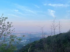 -北京西山国家森林公园