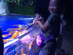 -左海海底世界