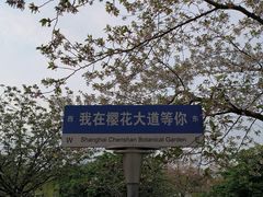 -上海辰山植物园