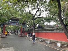 -北京国子监胡同